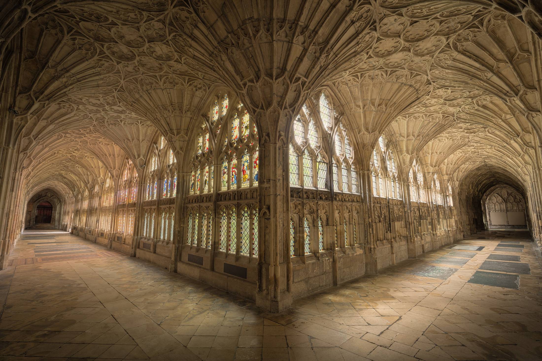 A vaulted stone cloister walk, fan tracery overhead, light falling through a run of windows.
